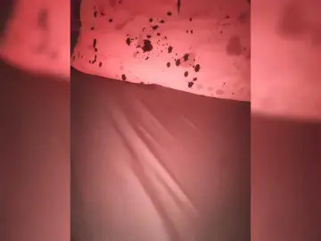 Tenderi  live sex cam