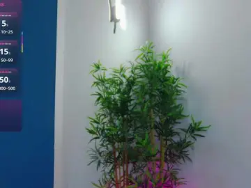 CelineMeyer  live sex cam