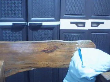 Jecel  live sex cam