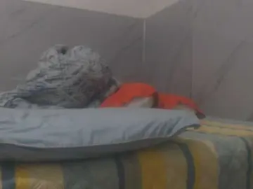 Sabrinav  live sex cam