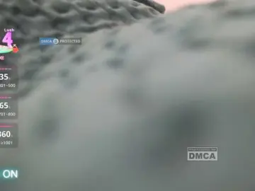 Dvenasti  live sex cam