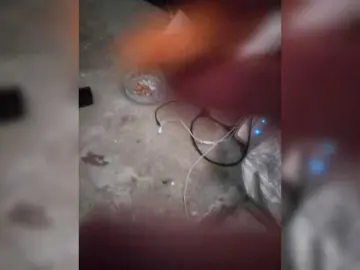 Sexysapphirexo  live sex cam