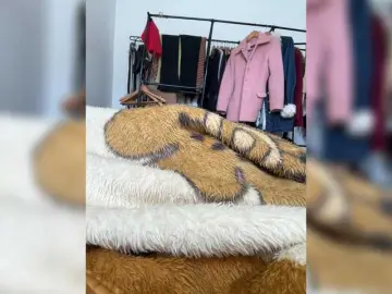 Gringaa  live sex cam