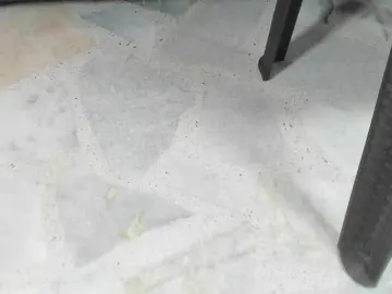 Nikadiamon  live sex cam