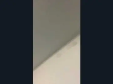 DeneenDwornik  live sex cam