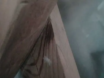 YasminaGeil  live sex cam