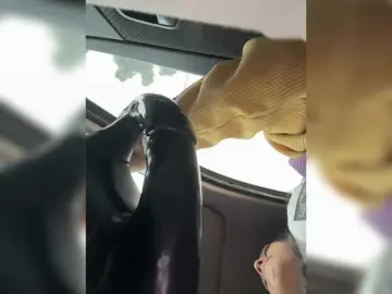 ZoeCamils  live sex cam