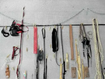 MEDUZA69  live sex cam