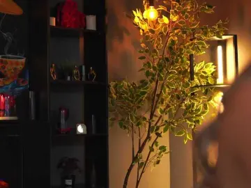 EvelynEvyy  live sex cam