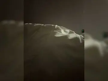 Kisssssesmee  live sex cam
