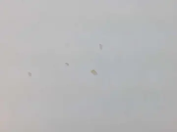 KiannaSex08  live sex cam