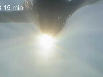 AlikBlack  live sex cam