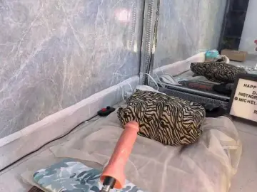 MIAREYS  live sex cam