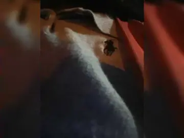 ChloeMontes  live sex cam