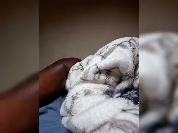 Kasandra037  live sex cam