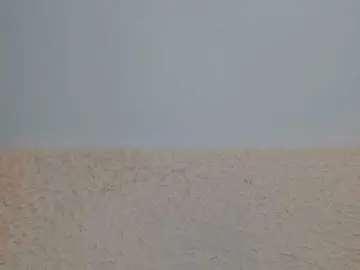 Just---me  live sex cam