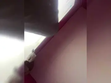 Family707  live sex cam