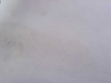 EllenaBoobs  live sex cam