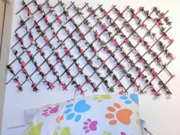 Naughtyebonyy  live sex cam