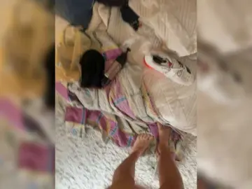 Aniram2221  live sex cam