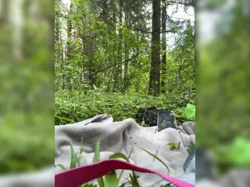 Aniram2221  live sex cam