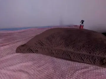 AriaFoster  live sex cam