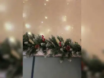 KissMec  live sex cam