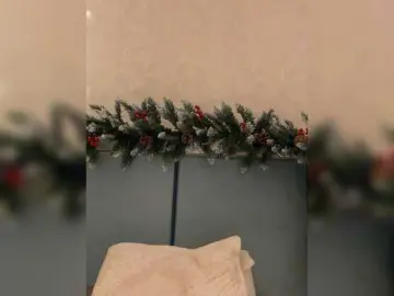 KissMec  live sex cam