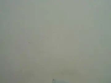 Blacksexygal  live sex cam