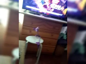 Caritovivi  live sex cam