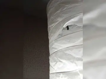 SashaLyubov  live sex cam