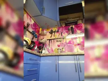 MS-86  live sex cam