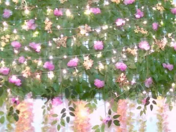 Crystal25  live sex cam