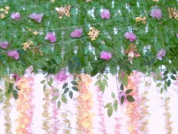 Crystal25  live sex cam