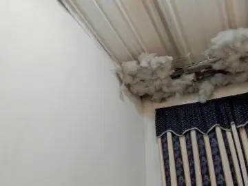 LauuuG  live sex cam