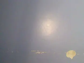 Chocolate-brownie  live sex cam