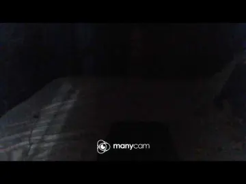 Sureloveee  live sex cam