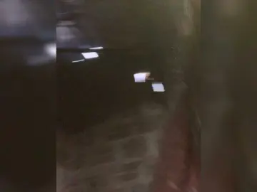 Lily388  live sex cam