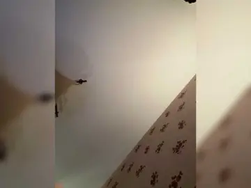 Rinaaamur  live sex cam