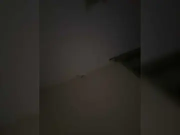 Rinaaamur  live sex cam
