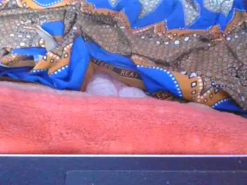 Phaniah1a  live sex cam