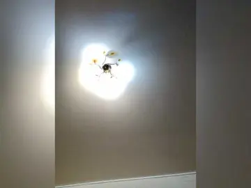 MilfaSguirt  live sex cam