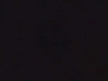 Quaylababe1  live sex cam