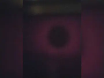 Quaylababe1  live sex cam