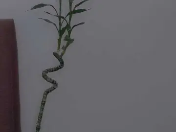 AnnyMe  live sex cam