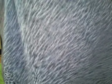 AgilaMipo  live sex cam