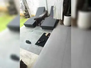 TurboDashulka  live sex cam