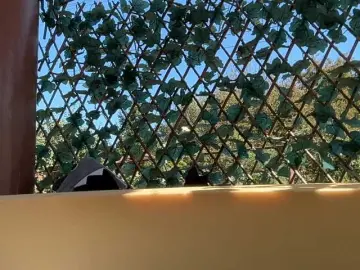 Karo131324  live sex cam