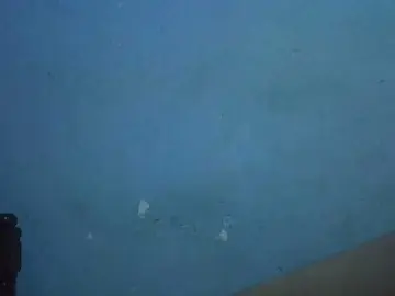 FreakyTrixie  live sex cam
