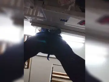 SERTSEETKA  live sex cam